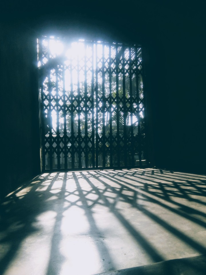 the lockdown