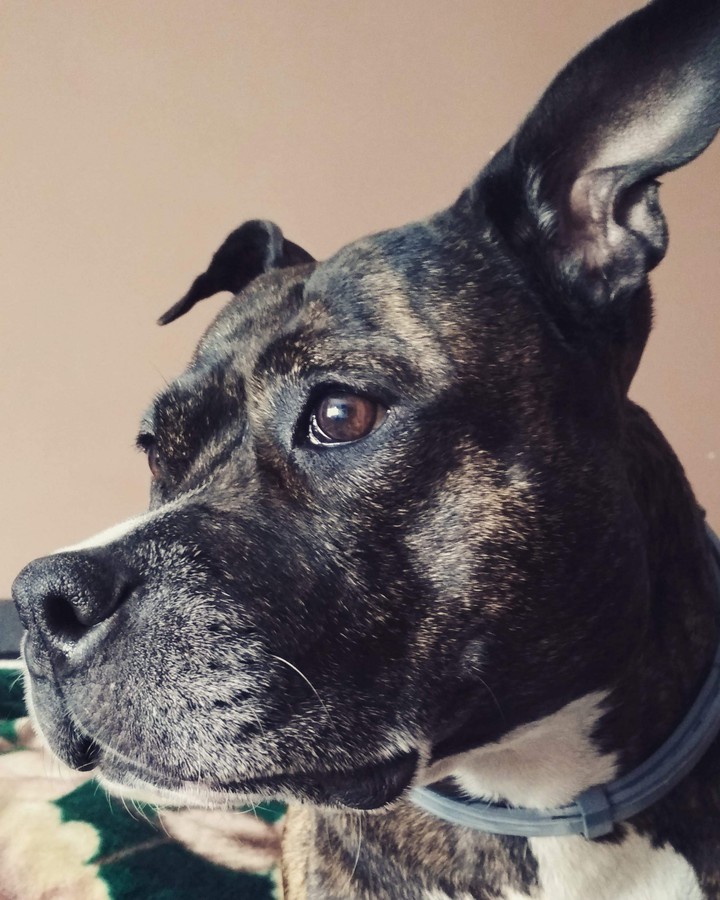 Lara ❤️