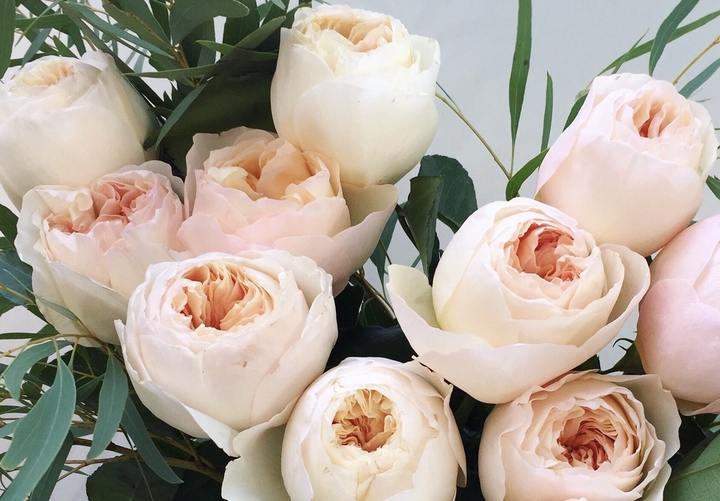 Roses