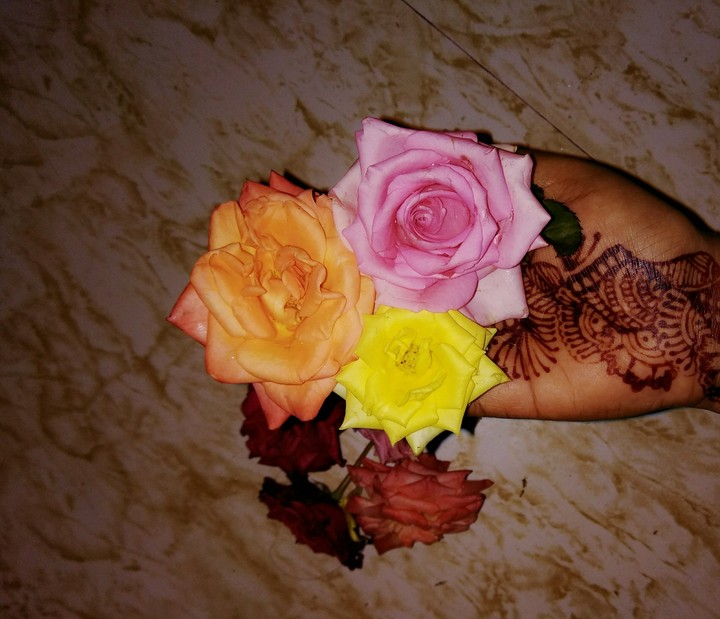 flowers, roses, Mehandi , rose