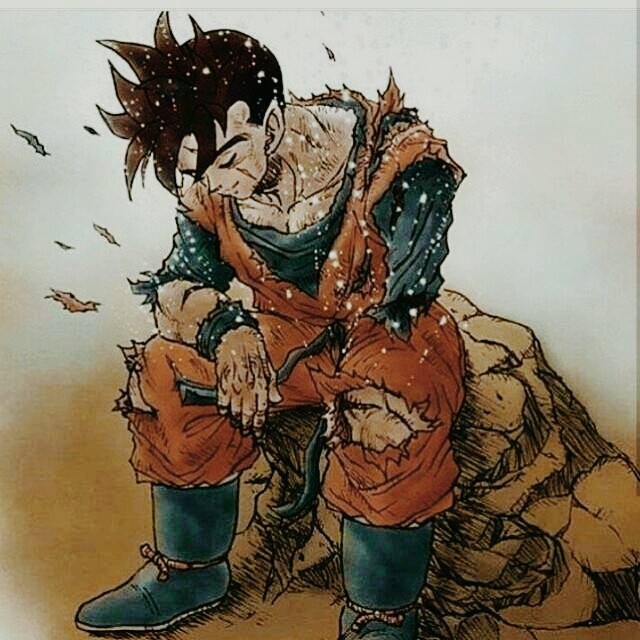 *GoHaN* #dragonballz