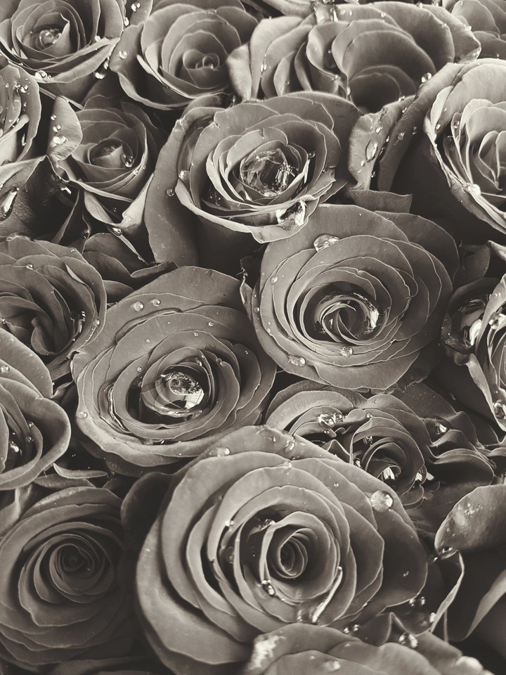 roses