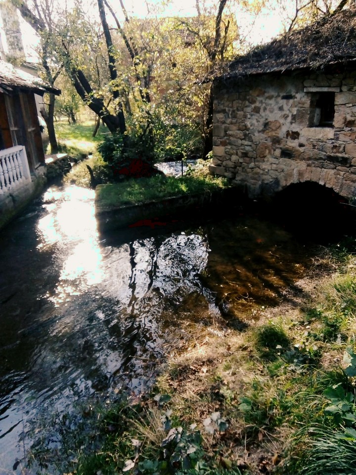 Pixture by:MY SELF!!!      