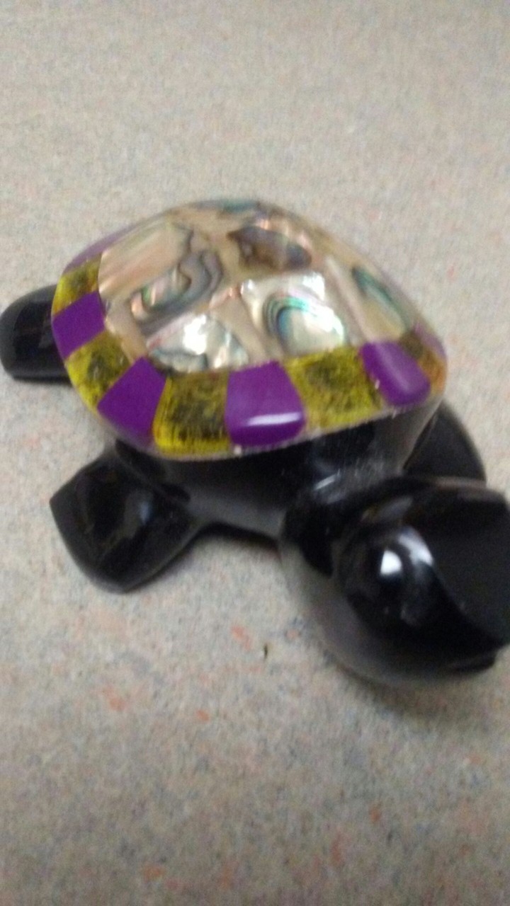 special turtle