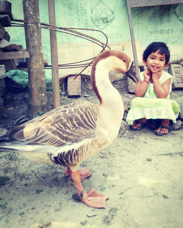Tanvi