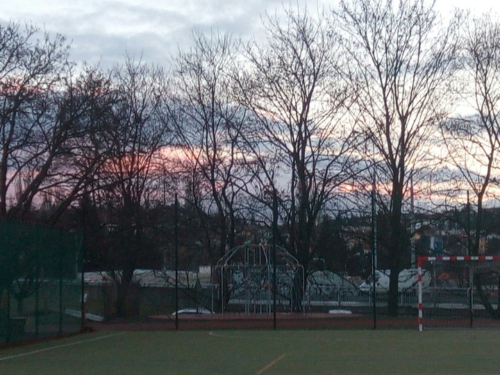 Trees and sun panorama. :D