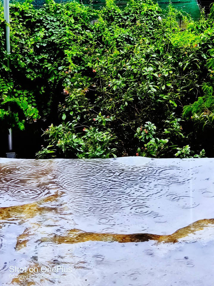 rain