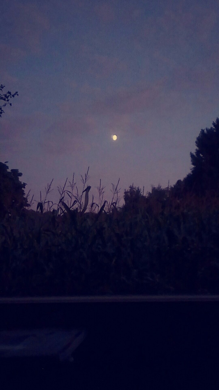 Wunderschöner Abendhimmel