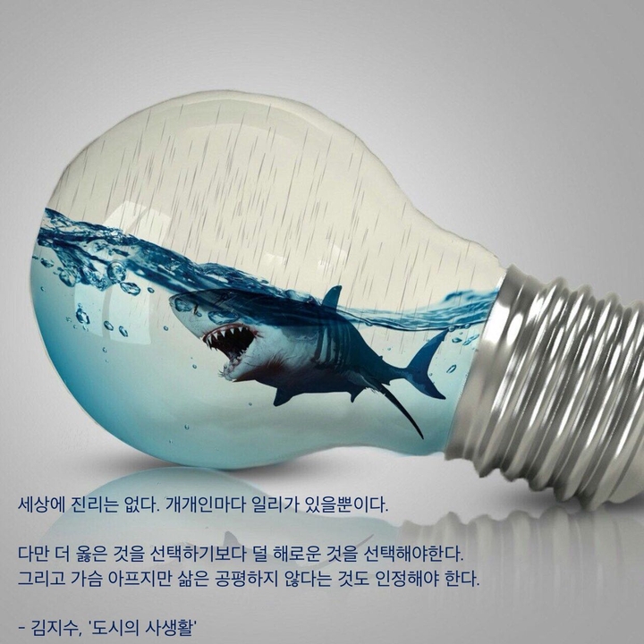 김지수 '도시의 사생활'