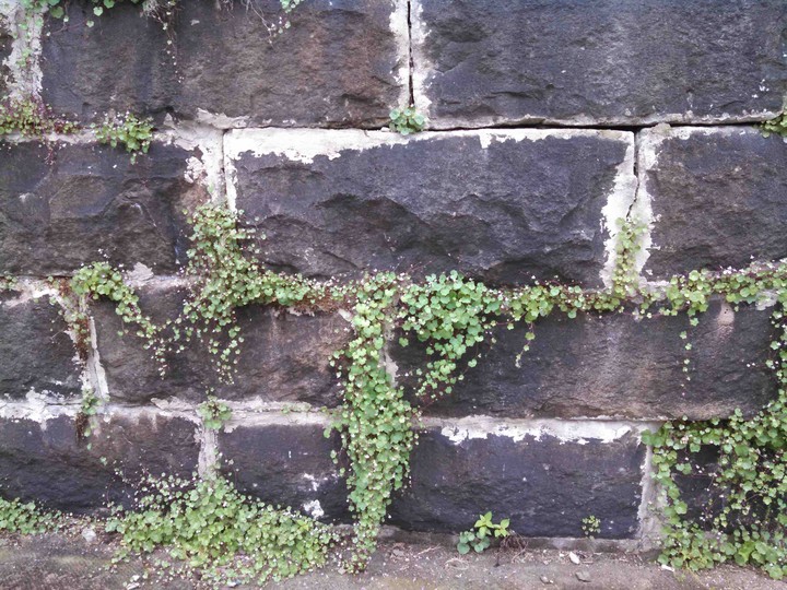 Mossy Bricks