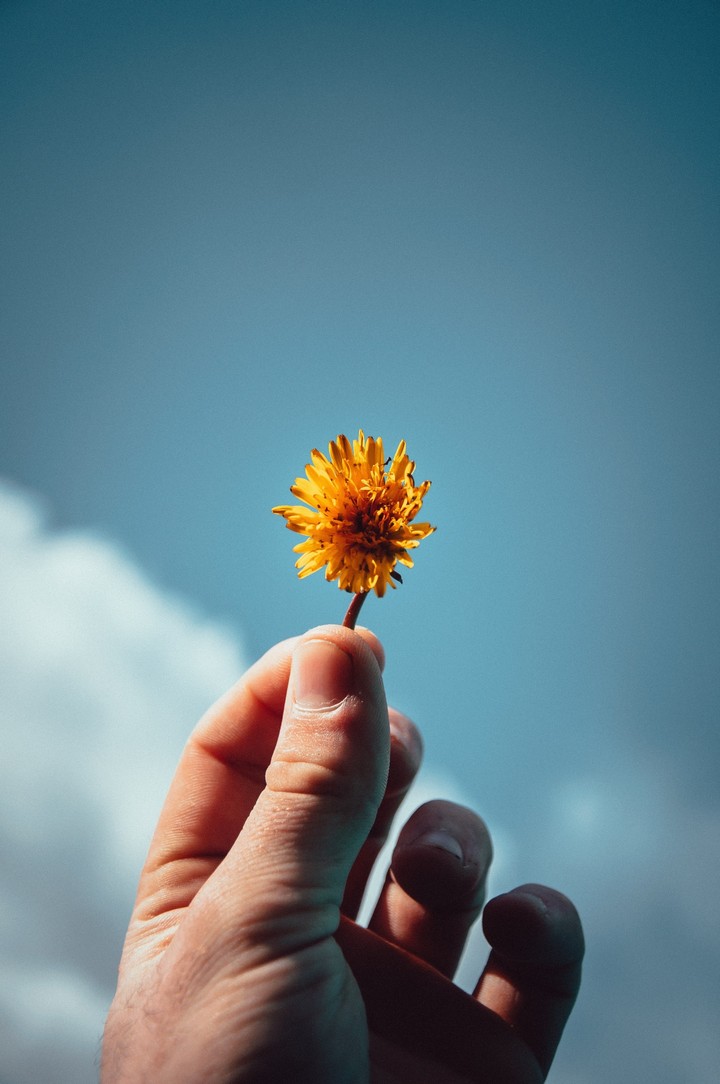 flowers and people