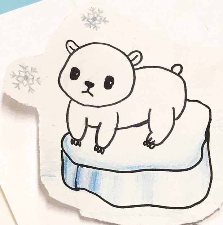 북극곰 polar bear