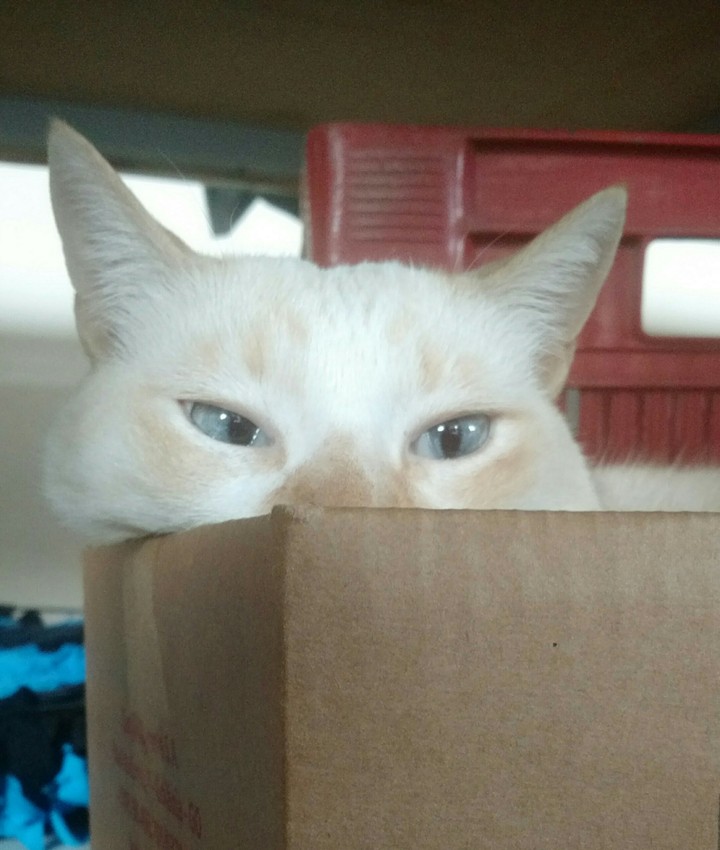 :)
