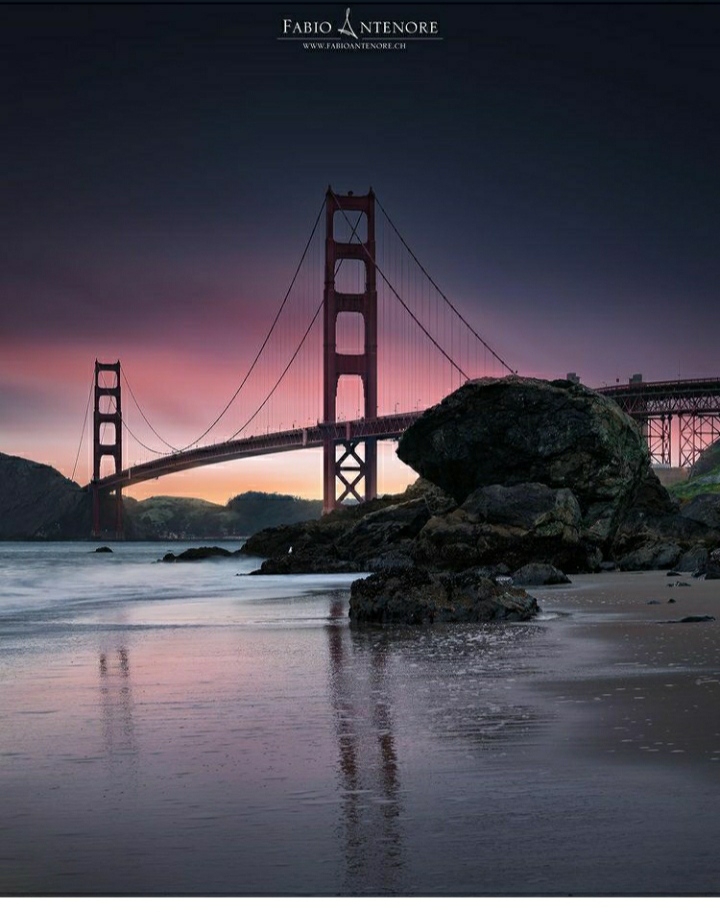 The bridge