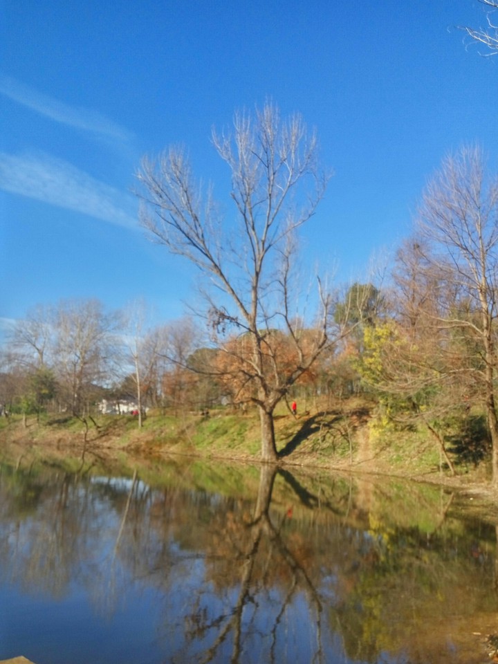 nature