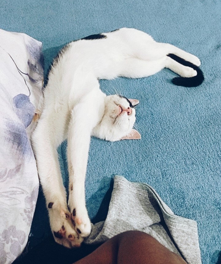 Dormindo sem preocupação