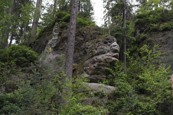 małpka