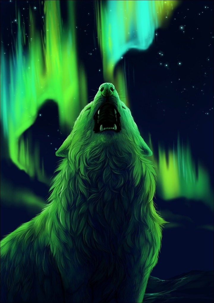 Midnight Wolf
