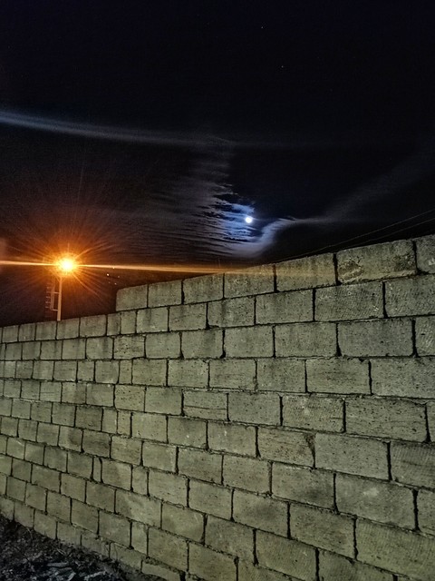 Moonlight