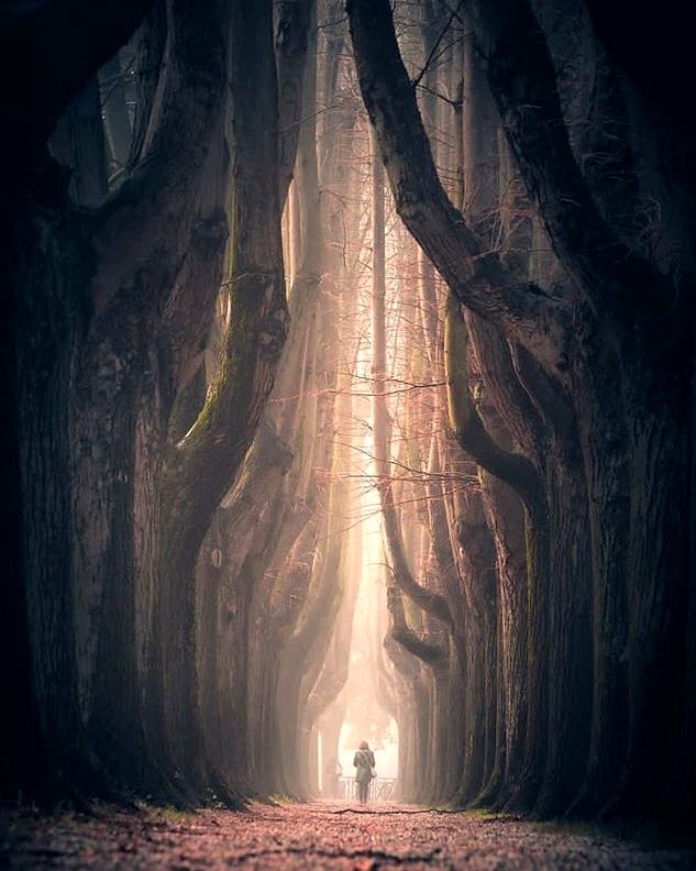 Alone in forest