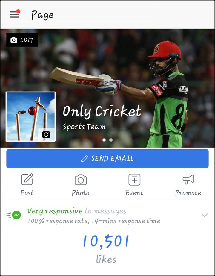 ONLY CRICKET TEAM