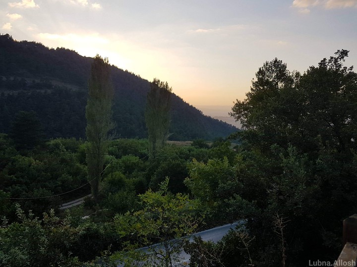 Landscape