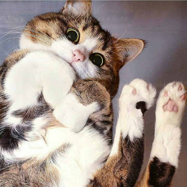 ❣❣