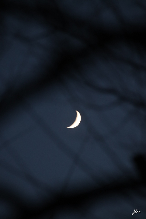 hình nền moonlight, crescent