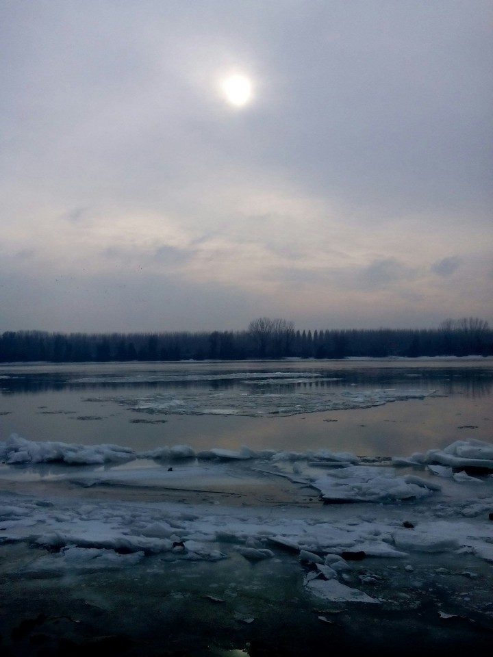 Dunav