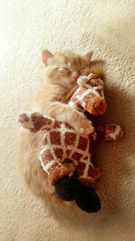 good night