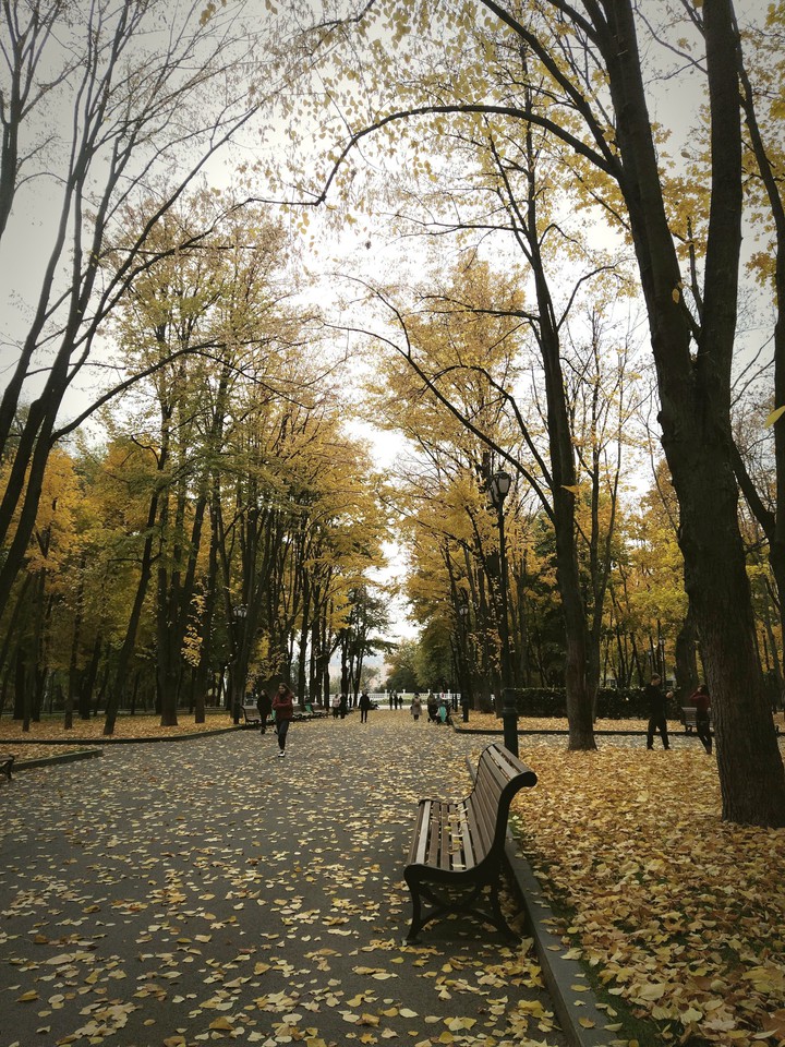 осень и ее настроение