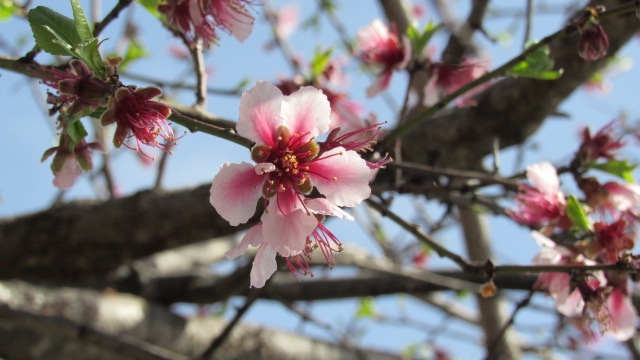 I love spring 
