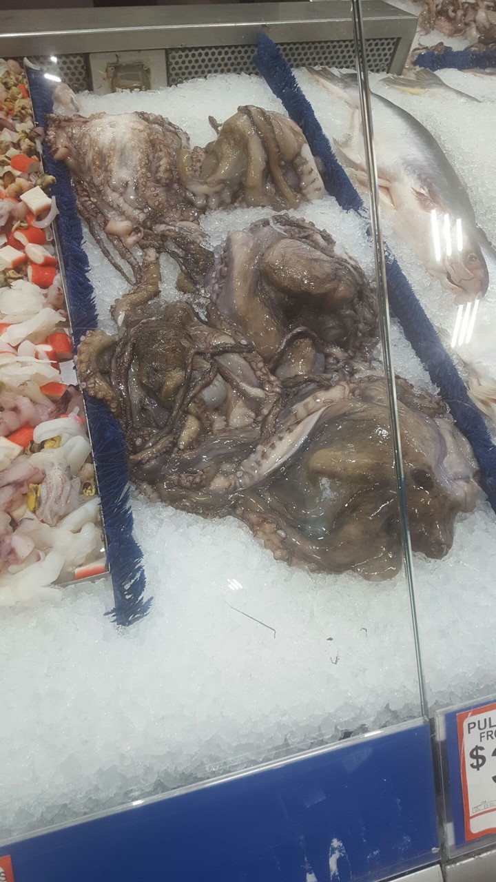 Frozen Octopus