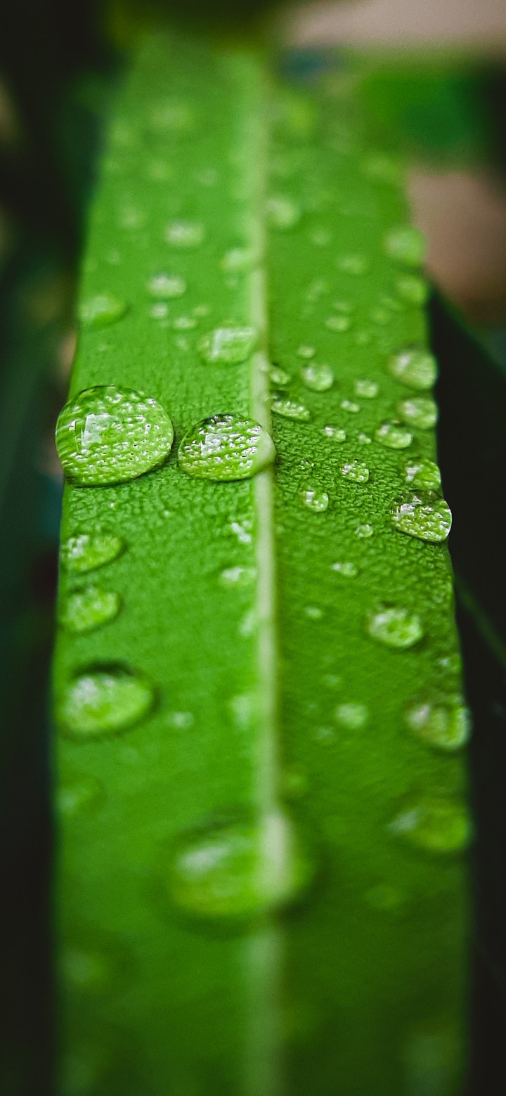 Droplets