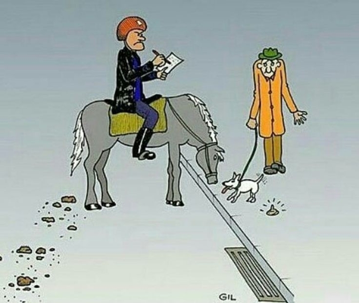 Government