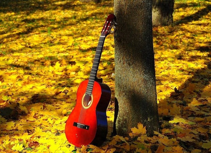 una guitarra roja