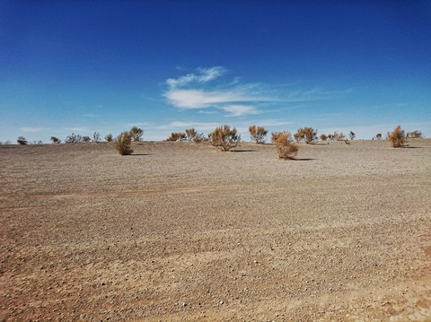 Desert