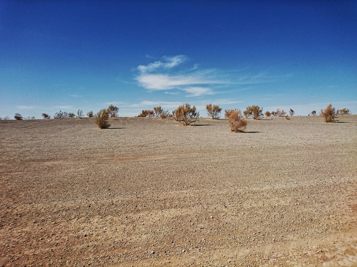 Desert