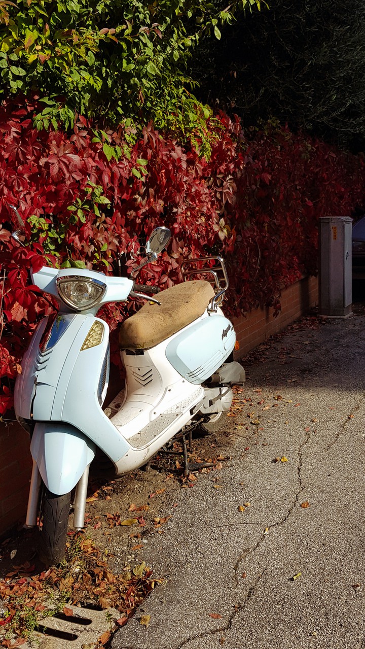 Vespa