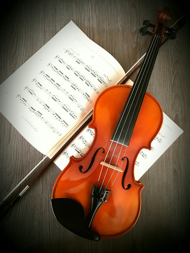 my violin