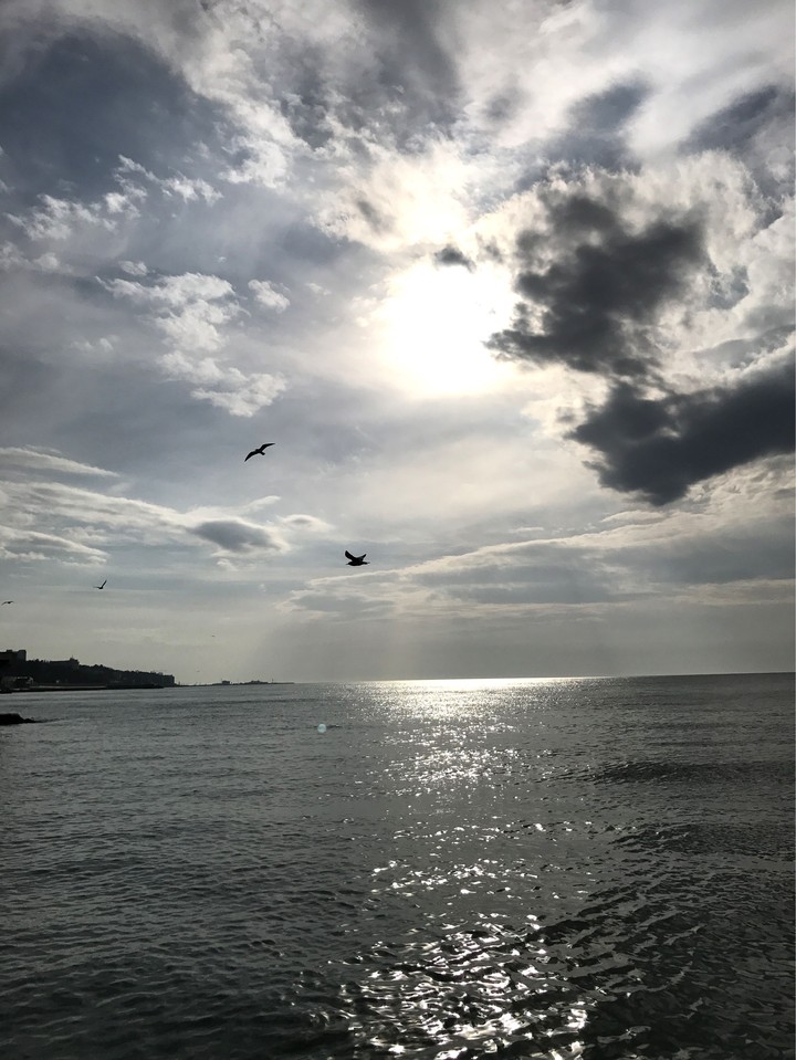 Sea