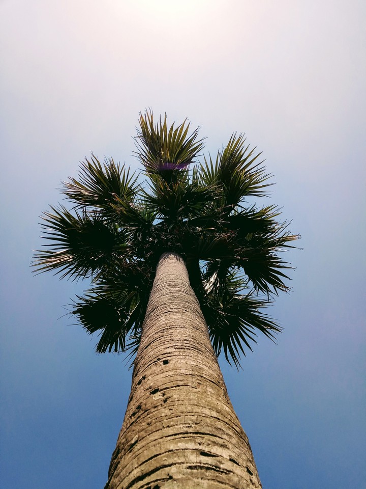 look at the sky