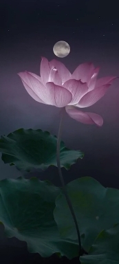 Flowers.