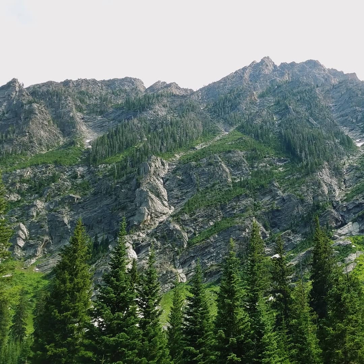 In the Tetons
