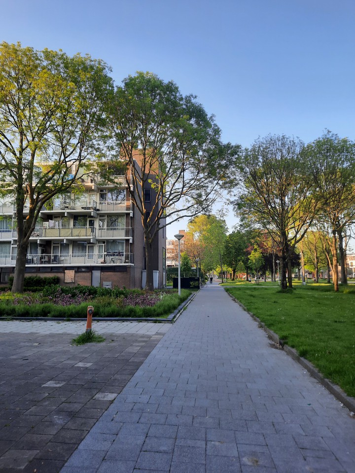 the green vieuw
