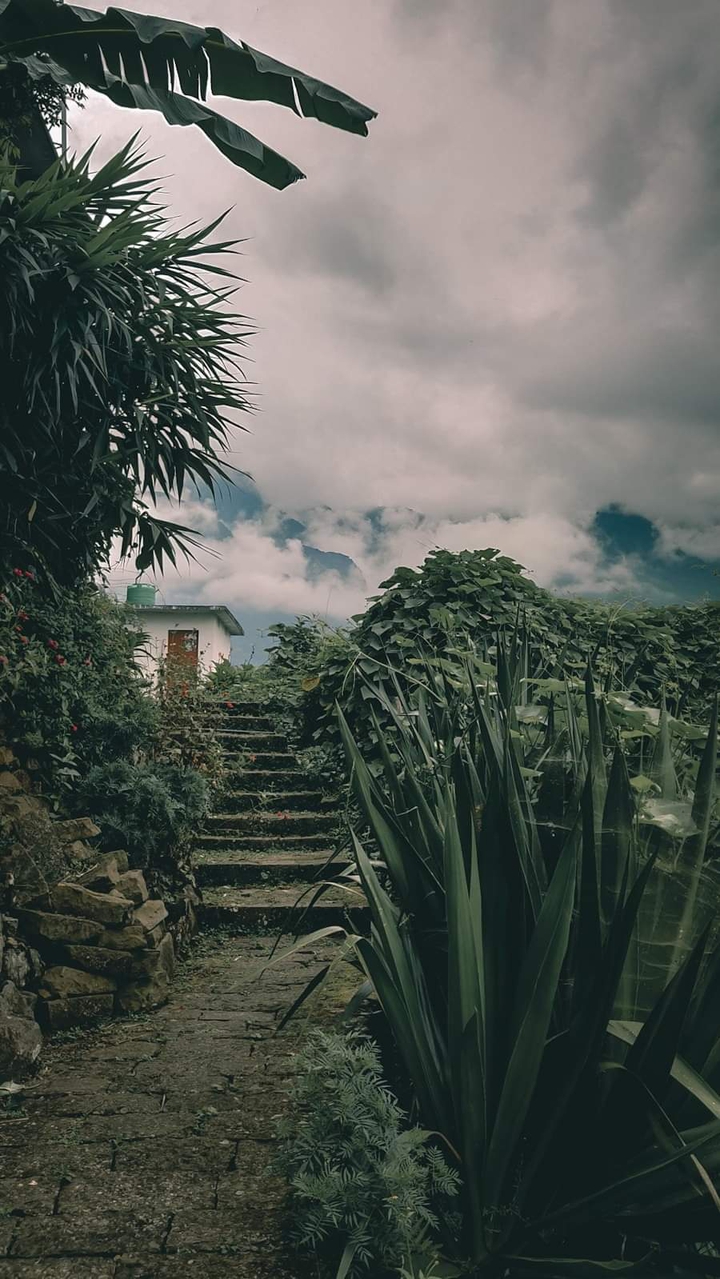 Nature
