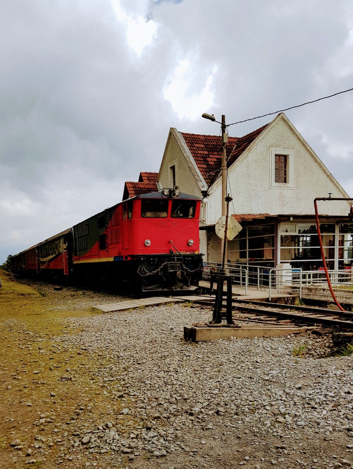 train