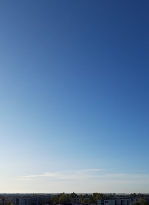 Beautiful morning