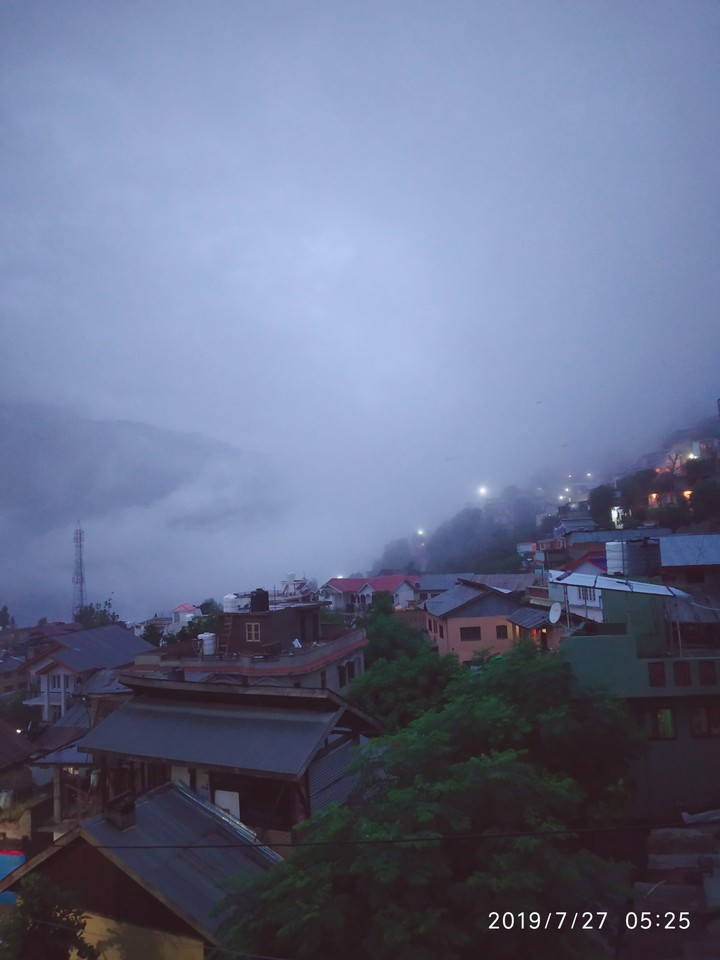fogg