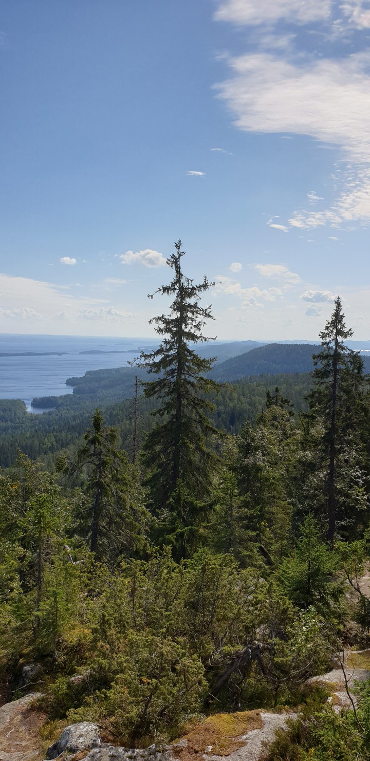 Koli, Finland